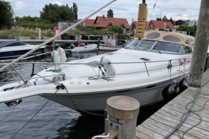 Miete Motorboot Sea Ray Sundancer 330 Lübecker Bucht