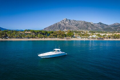 Sea Ray 540 Sundancer "Coraje Marbella"