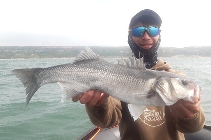 Miete RIB Zodiac Srmn 730 Le Havre