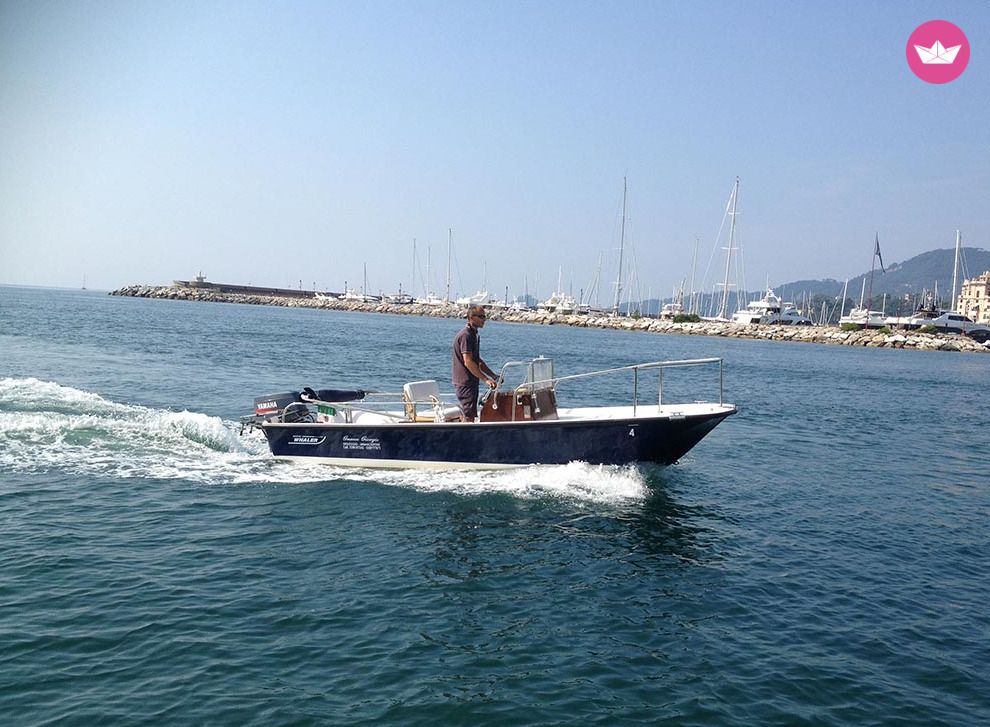 Bateau sans permis Boston Whaler Boston 17 40cv 5
