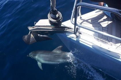 All included daily cruises - Hanse 385