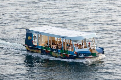 Miete Motorboot Custom Built Tour Glass Boat Pula