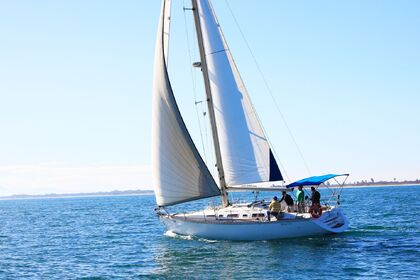 Sailboat Trips and Tours