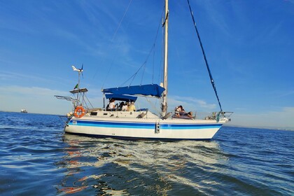 Private 2h sailboat river tour