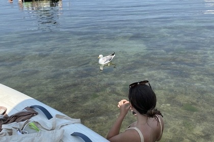 Journée avec Skipper