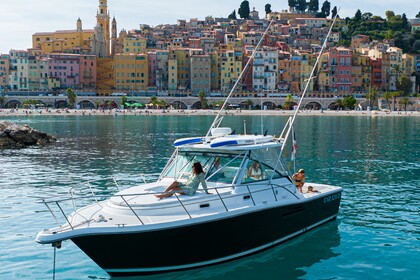 Pursuit 3400 "Express" 12 metres