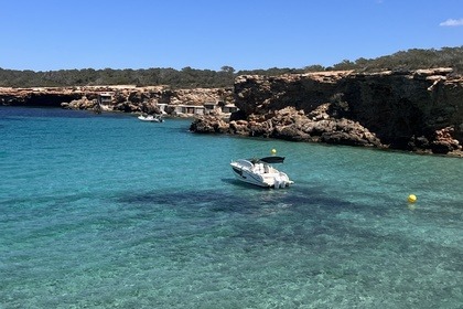 Quicksilver 875 Activ Sundeck 2024