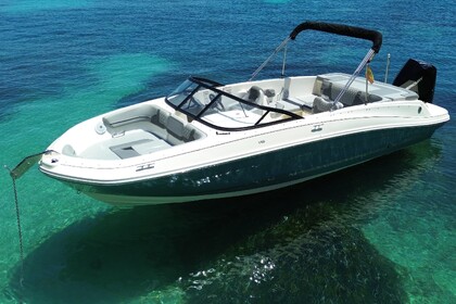 Bayliner VR6 con arco de Waveboard