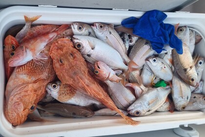 Boston Whaler 22 Outrage