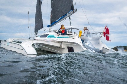 Rental Catamaran  DRAGONFLY 28 Toulon