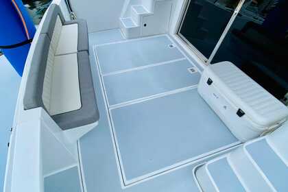 Luxurious Cruiser 44