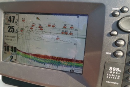 Boat 7 people 115cv Capelli 18 Open