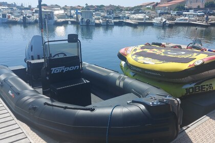 Location Semi-rigide Tarpon Dv 60 Le Barcarès