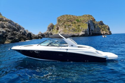 Hire Motorboat Sea Ray 290 SLX Santa Ponsa