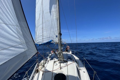 Jeanneau Sun Liberty 34