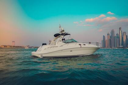Alquiler Yate a motor Sea Ray Cruiser 40FT Marina de Dubái