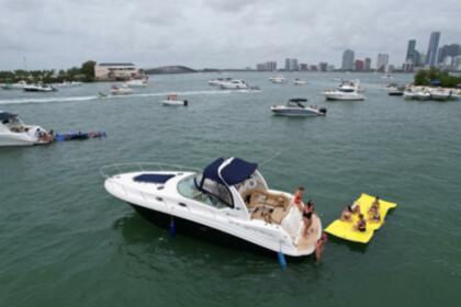 Rental Motorboat Sea Ray Sundancer Miami Beach