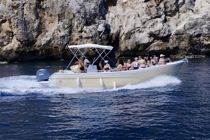 Charter Motorboat Liver Open 860 Castellammare del Golfo