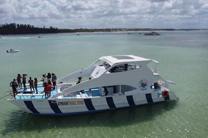 Hire Catamaran yamaha ocean catamarans Miches