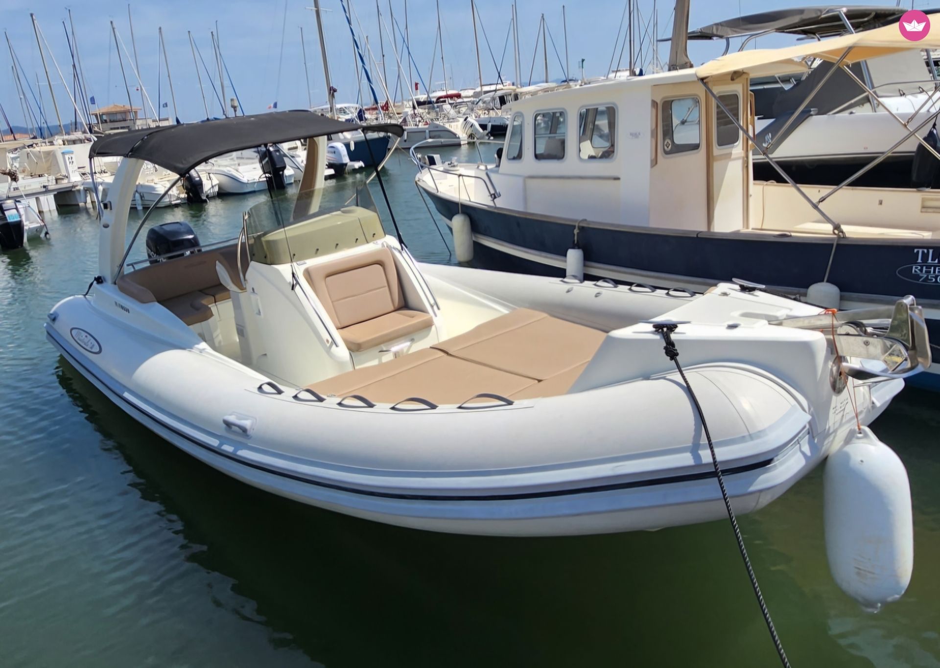 Czarter Maestral 7.45
