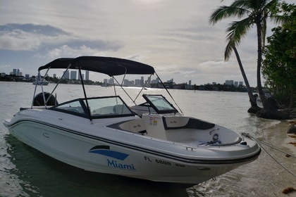 Rental Motorboat Sea Ray SPX 21' Miami