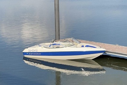 Rental Motorboat Stingray 556 zp Roermond