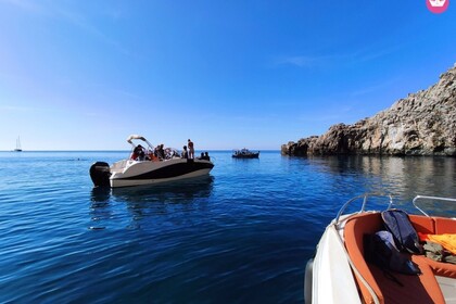 OKI Barracuda 686 WA