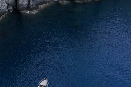 BOAT RENTAL- LICENSE FREE