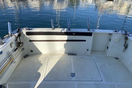 Pesca paseo Marbella