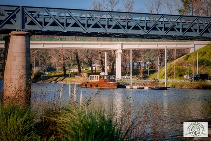 VINTAGE - FLOR DO DOURO