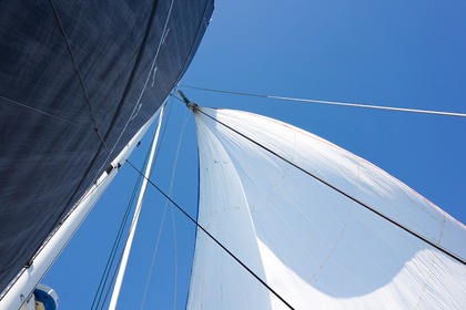 Catamaran TS42 rapide confortable et sportif