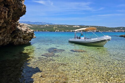 Novomar NM630 & Honda BF150