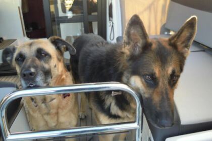 Experience an unforgettable holiday with this Esca