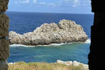 Squalo 2000 Squalo 38H