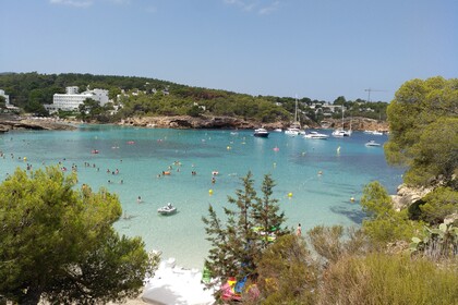 Fairline Targa 36 Open