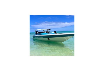 Charter Motorboat Cobra Cobra26 Mahebourg