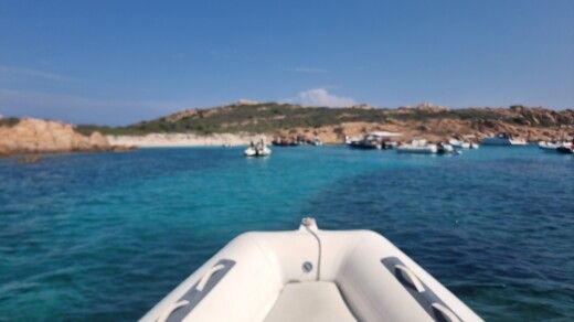 Olbia Without license Bwa 550 alt tag text