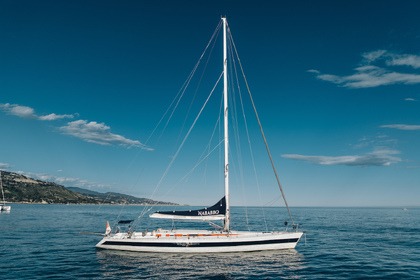 Magnifique Vallicelli 65' ex nastro azzurro