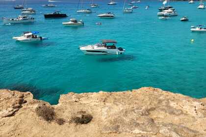 Jeanneau Cap Camarat 9 WA 2022