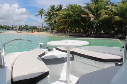 barca per visitare le isole e mangrovie