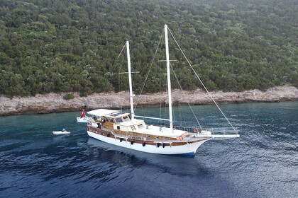 Hyra båt Guletbåt Standart Plus Blue Cruise Bodrum
