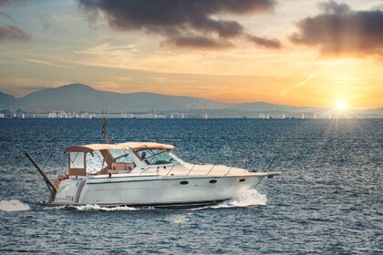 Rental Motor yacht Tiara Tiara open Athens