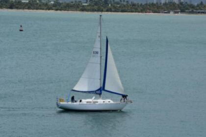 Charter Sailboat Velero Clasico Americano Pearson 35 San Juan
