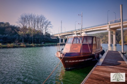 VINTAGE - FLOR DO DOURO