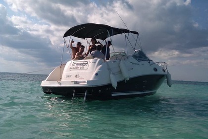 Verhuur Motorboot sundancer 24 Cancún