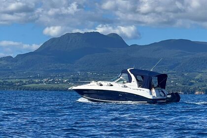 Charter Motorboat Sea Ray Sundancer 320 Pointe-a-Pitre