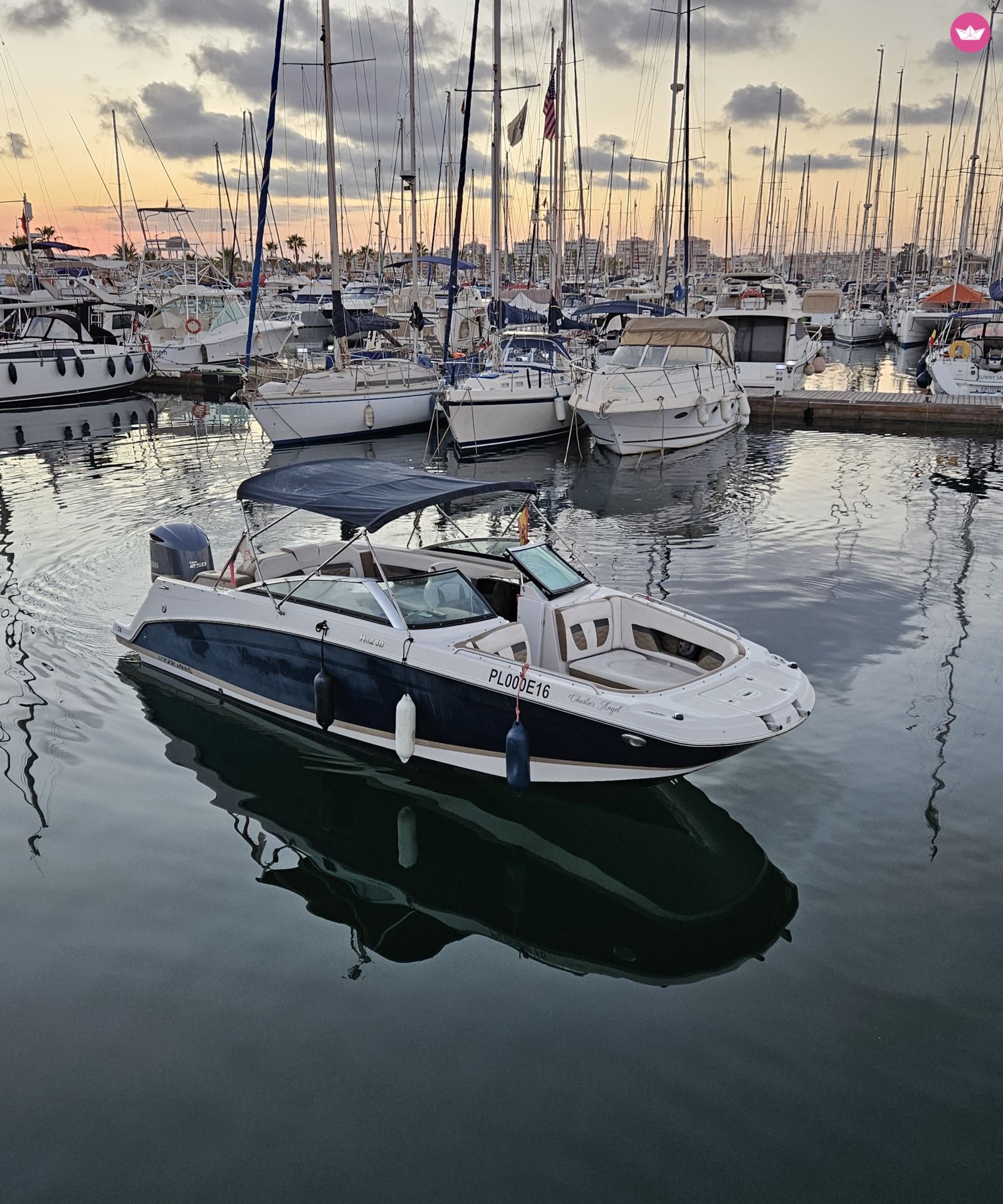Bateau à moteur Sea Ray Frowins 115cv 5