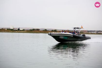 Чартер RIB (надувная моторная лодка) Narwhal Orca Аймонте