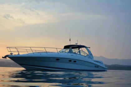 Miete Motorboot Sea Ray 455 Moniga del Garda