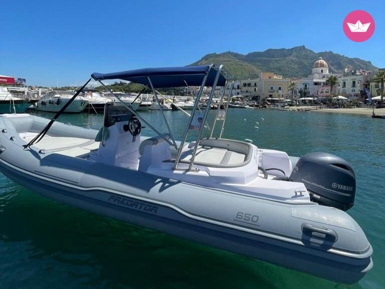 Semi-rigide Predator 650 Touring 115cv 3